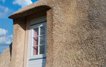 Townsend thatch roof disadvantages